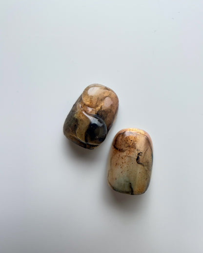 BIOTITE