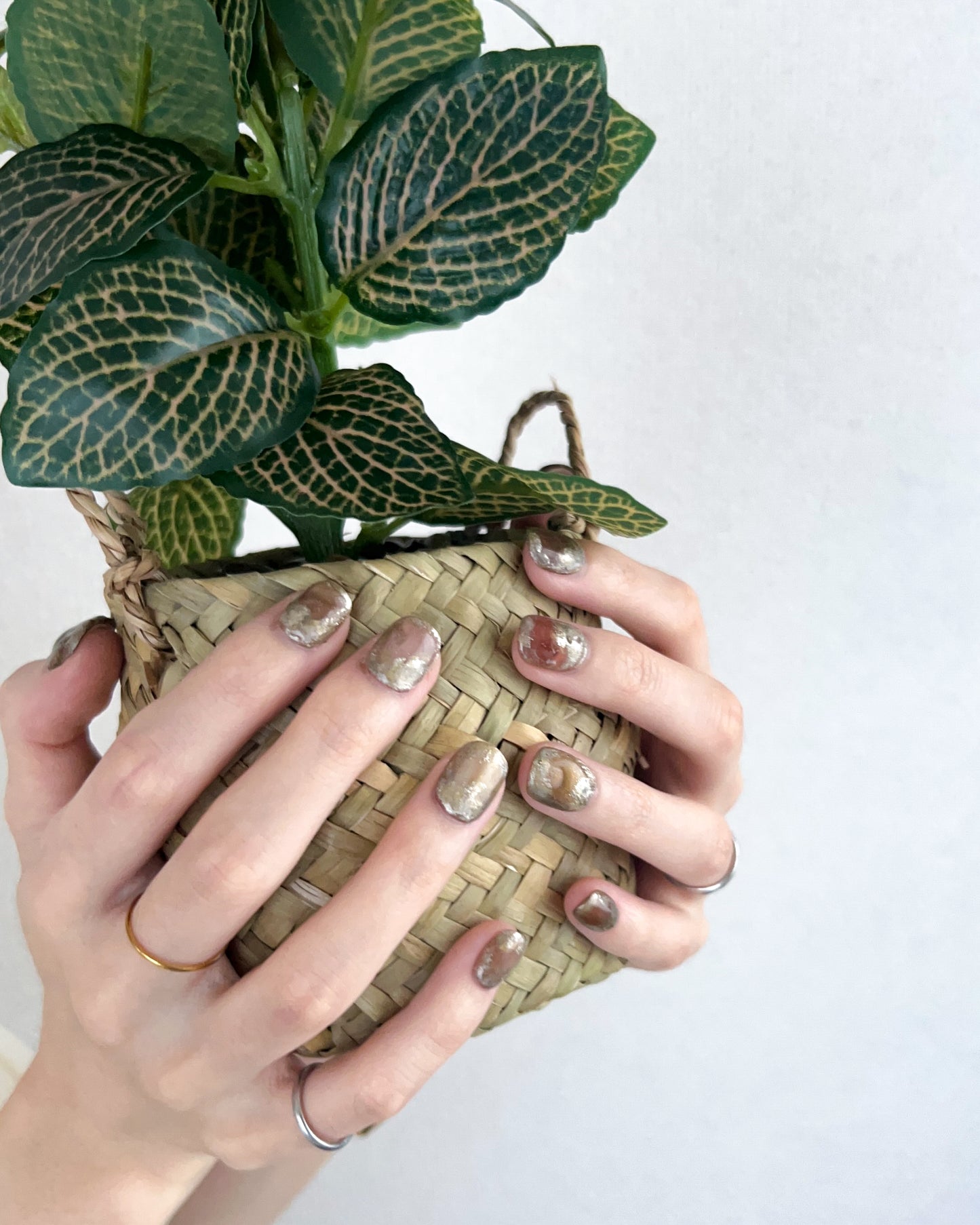 FITTING TIP 【計測用クリアチップ】